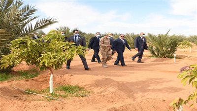  توشكى الخير.. زراعة الأمل فى الصحراء