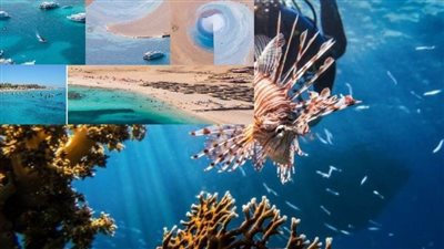 عاجل| بتقنية 360 درجة.. شواطئ الغردقة لآلئ وجواهر في زرقة الماء