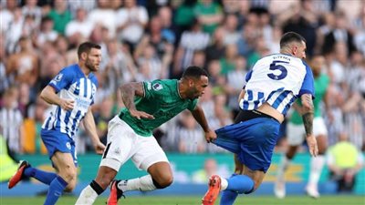 برايتون يفوز على نيوكاسل 1/3 في البريميرليج