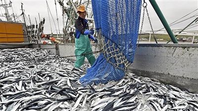 وزراء يابانيون يجتمعون غدا لبحث تدابير إغاثة طارئة لصناعة مصائد الأسماك المتضررة