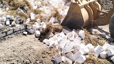 إزالة 16 حالة تعدٍ على الأراضي الزراعية وأملاك الدولة بالبحيرة 