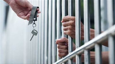 إخلاء سبيل متهمين بذبح خيول فى زراعات بنها 