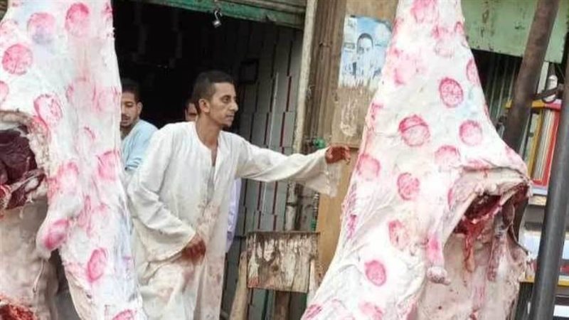 منافذ لبيع اللحوم