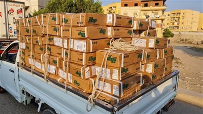 ضبط 12 طن كبدة منتهية الصلاحية داخل ثلاجة بالبحيرة