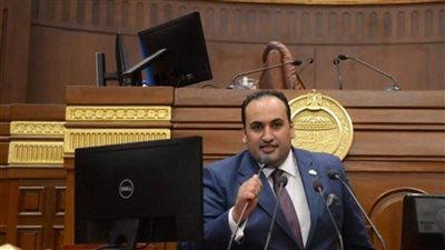 الرشيدي: الزيادة السكانية تلتهم التنمية والرئيس حريص على توعية المواطنين بأضرارها