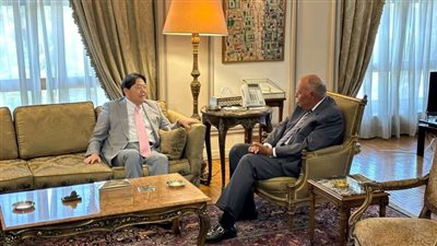 شكري ونظيره الياباني يؤكدان عمق علاقات التعاون بين البلدين