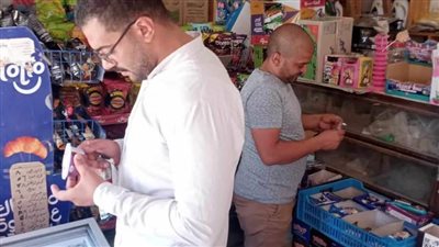 صحة المنيا: المرور على 3656 منشأة غذائية وتحرير 1031 محضرًا خلال حملات تفتيشية