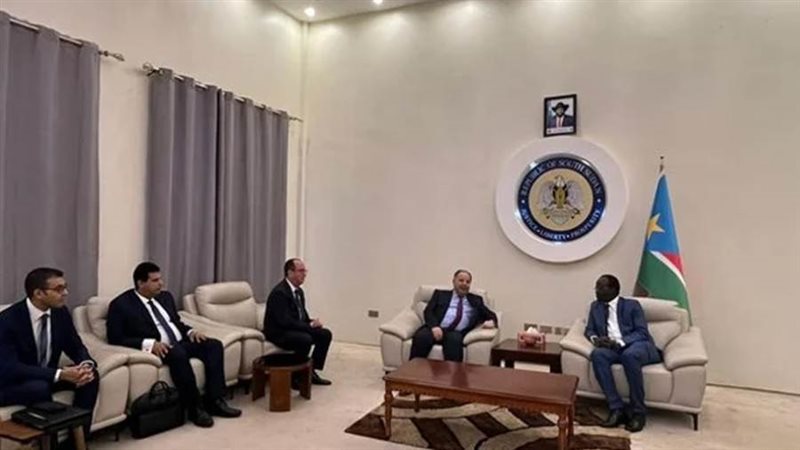 الدكتور محمد معيط