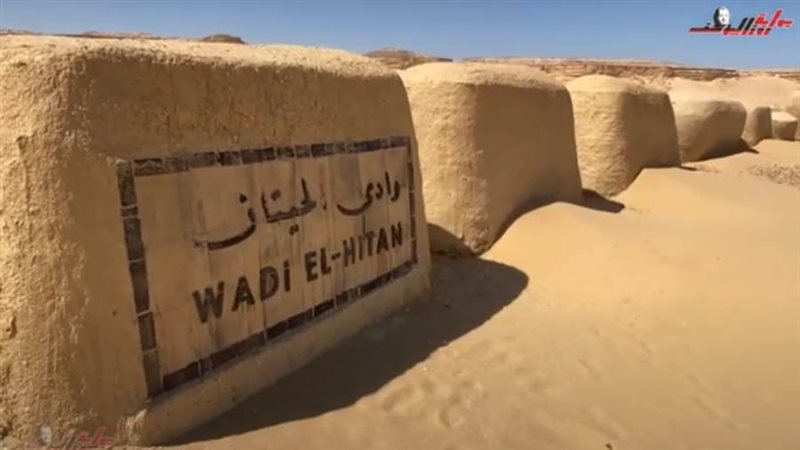 محمية وادي الحيتان