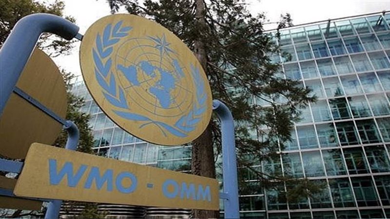 المنظمة العالمية