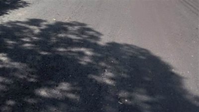 تطوير ورصف منطقة المصالح الحكومية والمستشفى المركزي بفايد في الإسماعيلية 