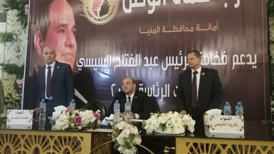 جولات مكوكية لأمانة تنظيم حماة الوطن بمحافظات الجمهورية دعما لحملة الرئيس السيسي