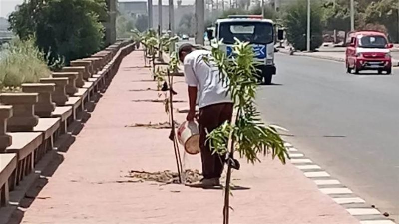 زراعة أشجار مثمرة