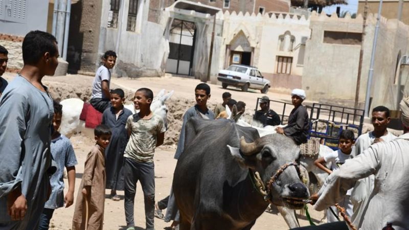 بوابة روز اليوسف