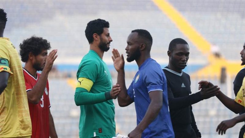 محمد الشناوي- تصوير: