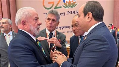 نشاط مكثف للرئيس السيسي على هامش مشاركته في قمة العشرين 