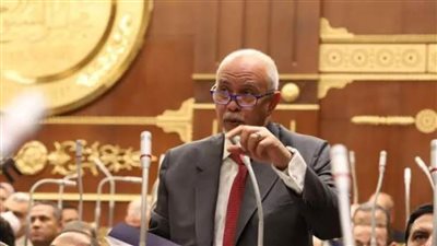 الجندي: كلمة الرئيس السيسي بقمة العشرين عبرت عن الدور المصري الداعم لتحقيق التنمية المستدامة بإفريقيا