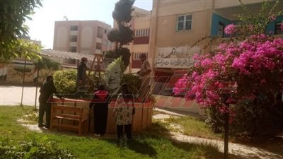  قص وتجميل الأشجار بالمدارس استعدادًا للعام الدراسي الجديد بكفر الشيخ