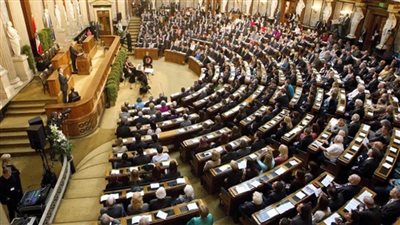 برلمانية بالنمسا: لا توجد ضمانات باستمرار الائتلاف الحكومي حتى عقد الانتخابات المقبلة