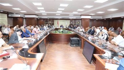 تفاصيل اجتماع محافظ بني سويف بالمجلس الاقتصادي الاستشاري