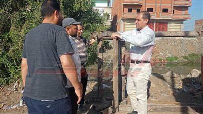 إصلاح خطوط الطرد وزراعة الأشجار بكفرالشيخ 