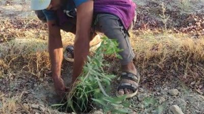 مشاركة 30 شابًا وفتاة في معسكر 