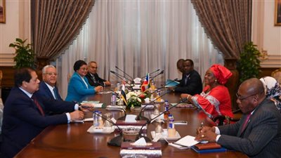 المستشار الدكتور حنفي جبالي يلتقي رئيسة مجلس الشيوخ في غينيا الاستوائية