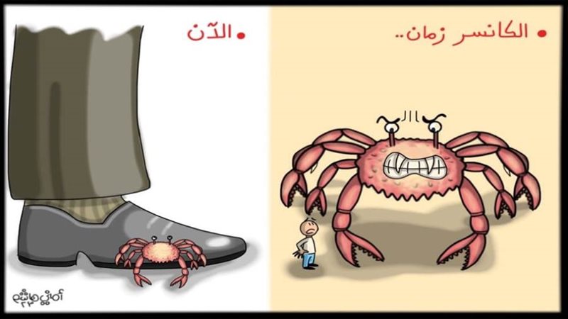 ريشة - أماني هاشم