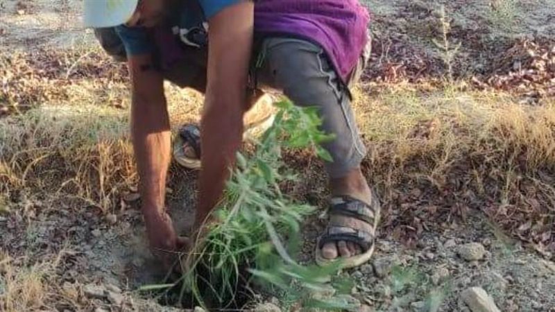 انطلاق معسكر صديق