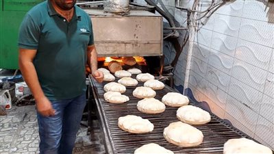 ضبط 63 عبوة مبيدات زراعية منتهية الصلاحية بالبحيرة