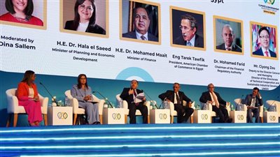 د. محمد فريد: انتهينا من تطوير الأطر التشريعية والتنظيمية للأنشطة المالية غير المصرفية