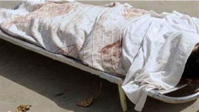 كشف ملابسات مقتل عامل بأسيوط.. وضبط المتهم 