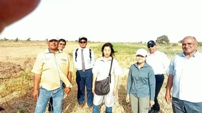 جايكا اليابانية تبحث مشكلة ملوحة التربة ومياه الصرف الزراعي بالوادي الجديد