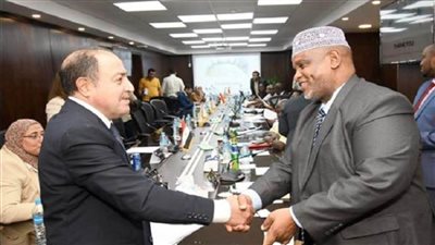 مصر وكينيا تبحثان فرص التعاون المشترك في قطاع الإسكان