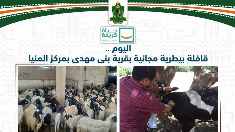 قافلة بيطرية