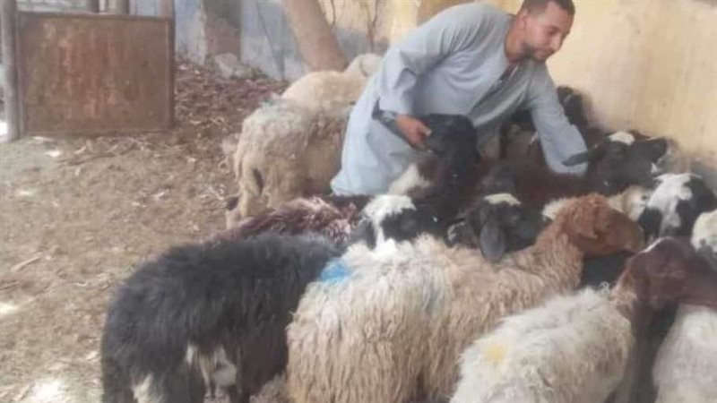 مبادرة فرصة