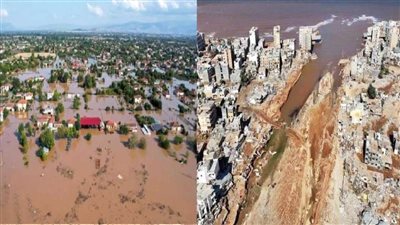 عاجل| انتقمت من الإنسان على أفعاله في أقل من أسبوعين.. تقرير شامل