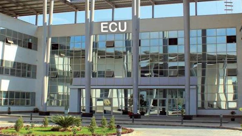 الجامعة المصرية الصينية