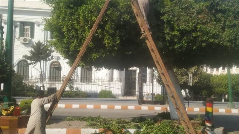 زراعة أشجار مثمرة