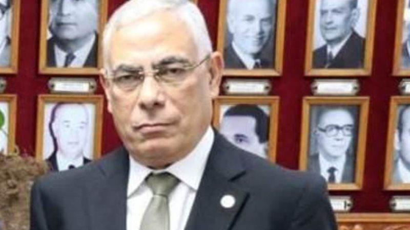 المستشار محمد شوقي