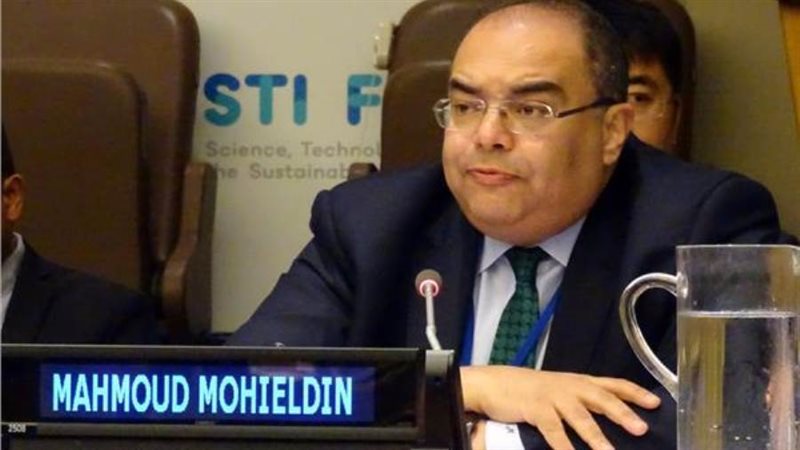 الدكتور محمود محيي