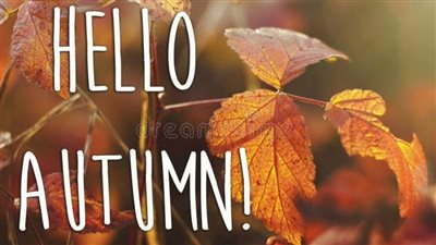 عاجل..  الأرصاد الجوية: مصر تودع فصل الصيف في هذا اليوم