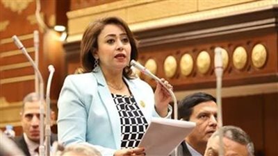 «تضامن الشيوخ»: العلاقة بين مصر والإمارات تعد نموذجا للعلاقات الطيبة