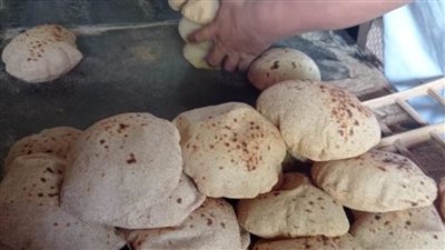 ضبط ٧٥٠ ألف كيلو دقيق مدعم قبل بيعها بالسوق السوداء بالإسماعيلية 