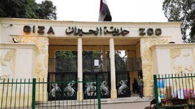 بعد العرض على مجلس الوزراء.. رسميا بدء تنفيذ مخطط تطوير حديقتي الحيوان والأورمان