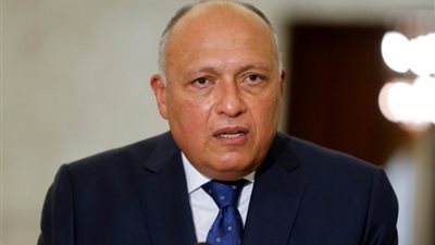 شكري يؤكد الحاجة لتبني نهج خلاق للتعامل مع أزمة الديون الدولية 