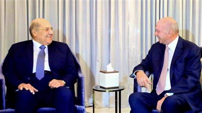 استقبال حافل للمستشار 