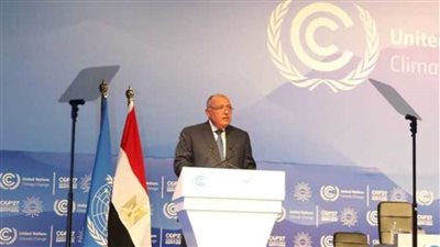 وزير الخارجية: من الضروري الانتقال من مرحلة التعهدات إلى مرحلة التنفيذ 