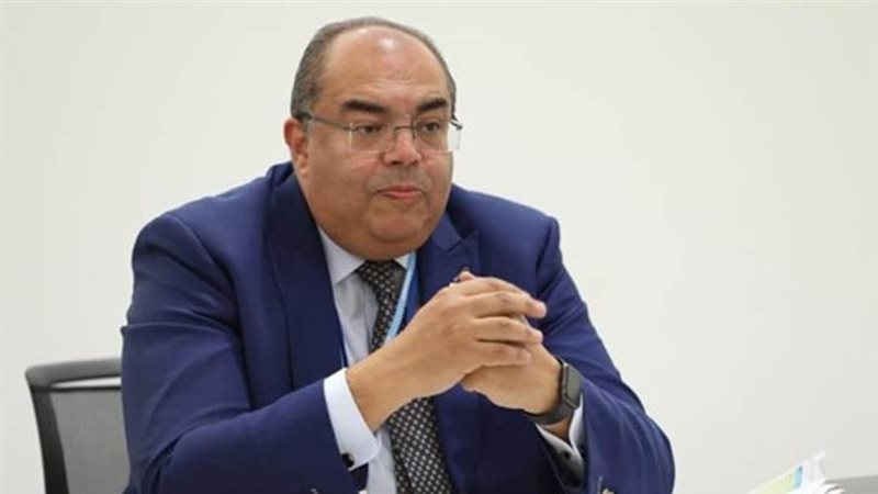 الدكتور محمود محيي