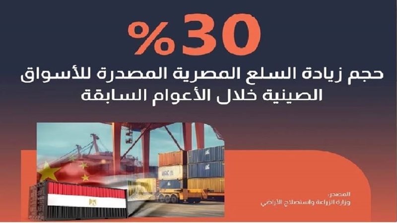 الصادات المصرية